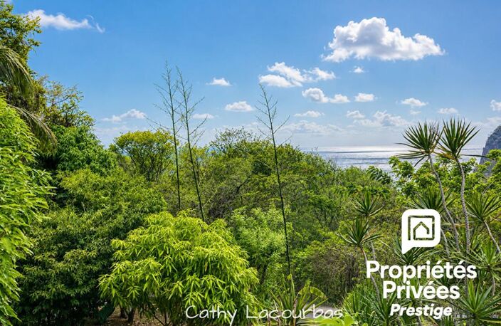 Rare ! Propriété à Deshaies avec grand jardin et vue mer — photo 4