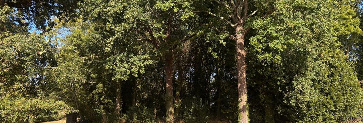 Terrain  480 m² à vendre à Saint-Gildas-de-Rhuys (56730)