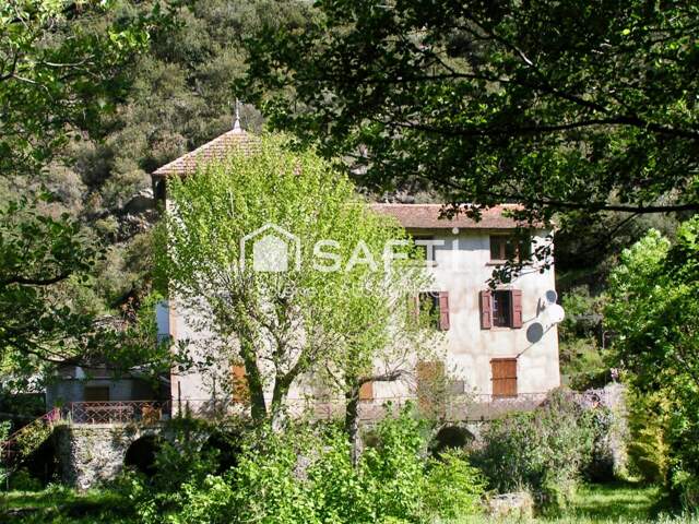 Appartement et gites au coeur des Cévennes — photo du bien