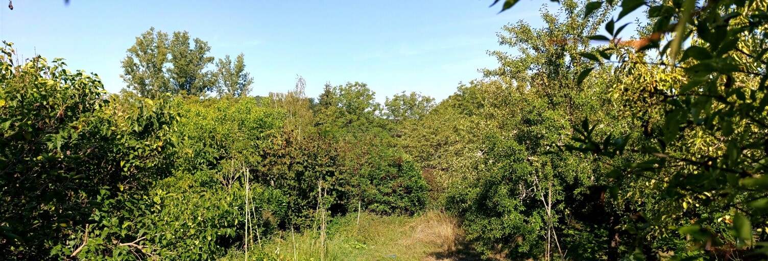 Maison 4 Pièces 99 m² à vendre à Le Buisson-de-Cadouin (24480)