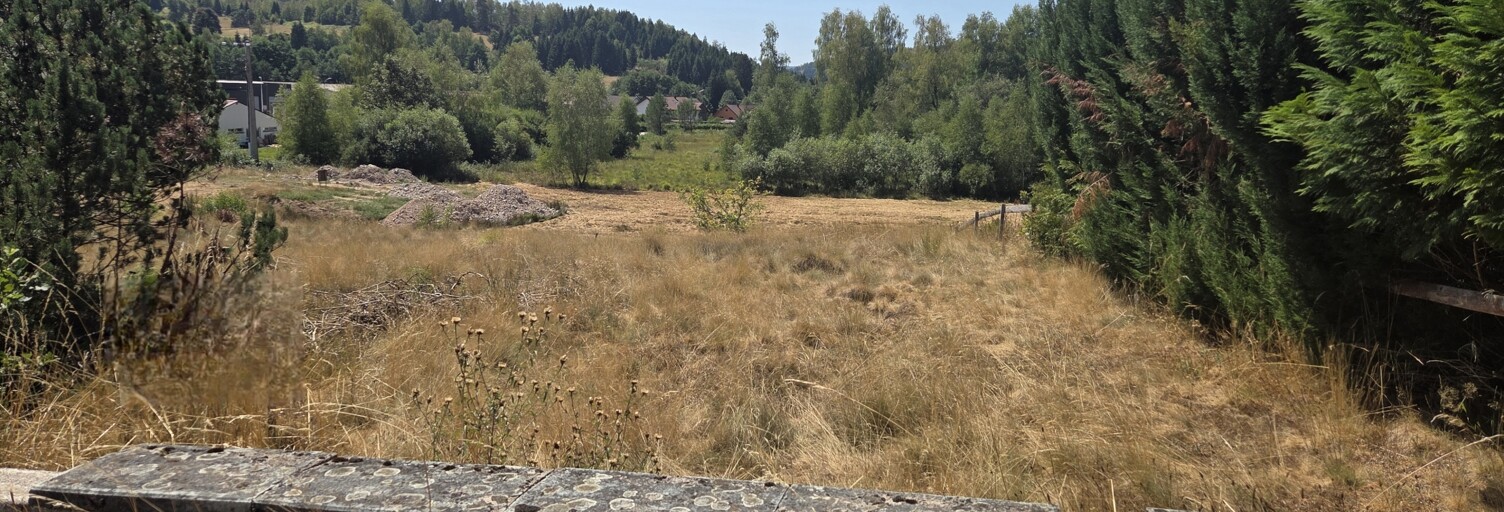Terrain  600 m² à vendre à Le Tholy (88530)