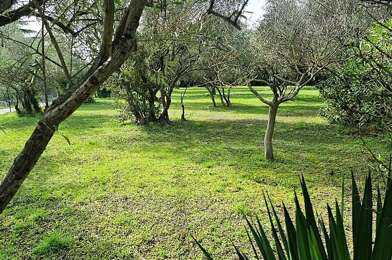 Terrain  163800 €