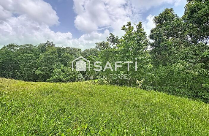 LE ROBERT  TERRAIN DE 2 555 M²  797 M² CONSTRUCTIBLES — photo 2
