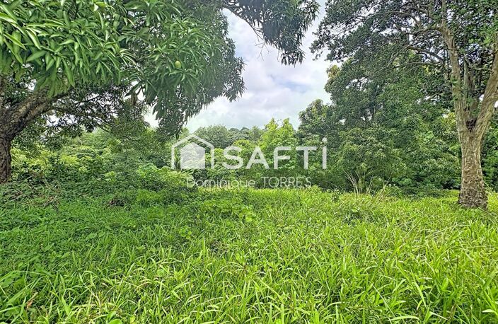 LE ROBERT  TERRAIN DE 2 555 M²  797 M² CONSTRUCTIBLES — photo 3
