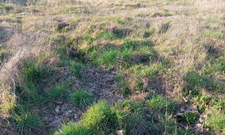 Terrain  412 m² à vendre à Biganos (33380)