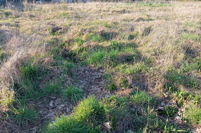 Terrain  135000 €