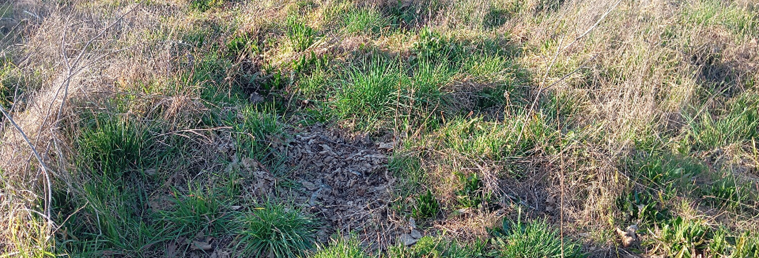 Terrain  412 m² à vendre à Biganos (33380)
