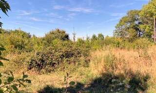 Terrain  1117 m² à vendre à Cerisiers (89320)