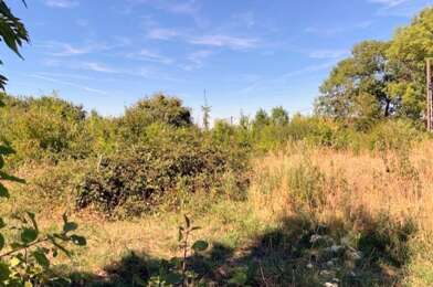 Terrain  20000 €