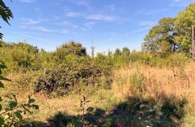 Terrain à vendre de 1 117,00 m² Proche de CERISIERS (89) — photo du bien