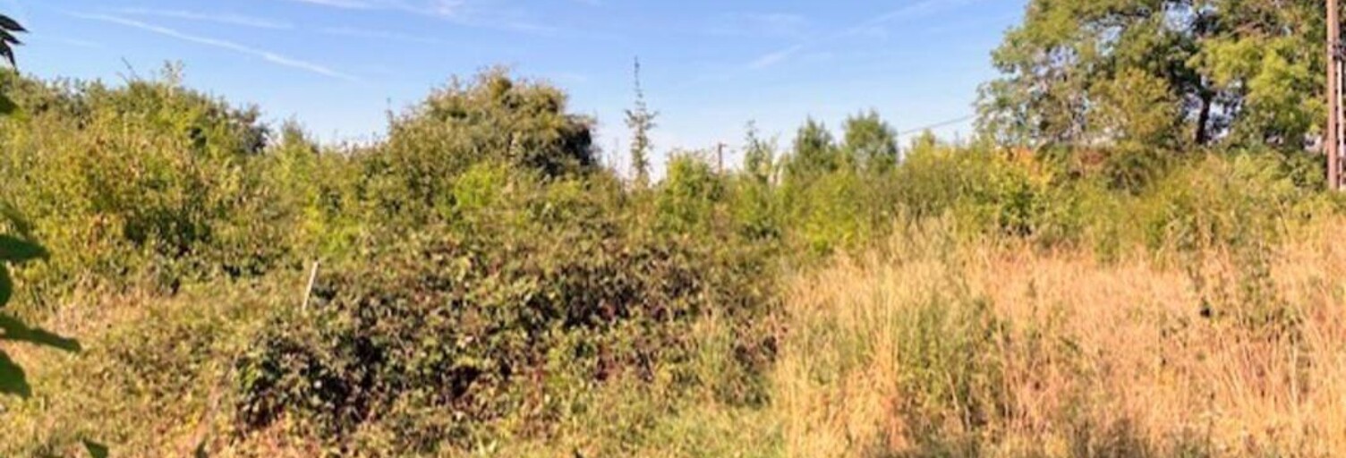 Terrain  1117 m² à vendre à Cerisiers (89320)