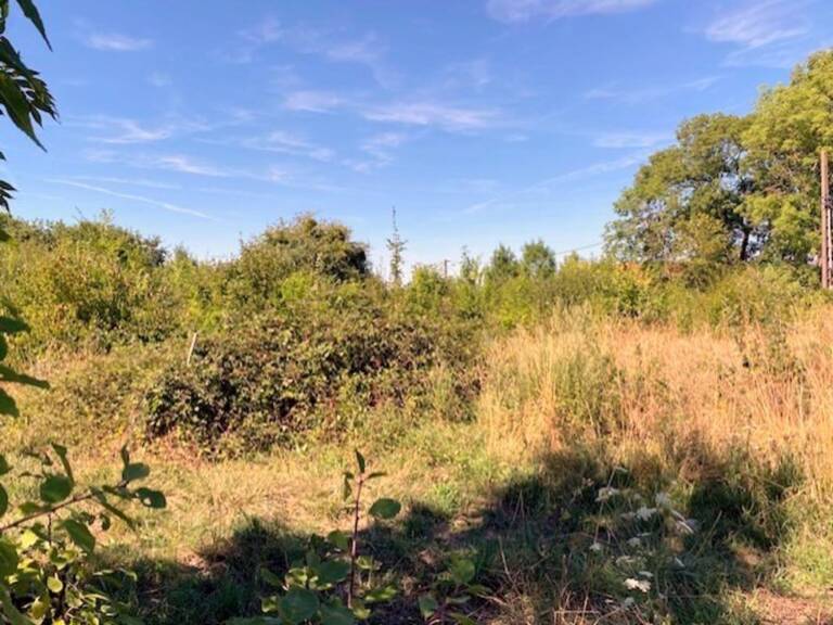 Terrain à vendre de 1 117,00 m² Proche de CERISIERS (89) — photo 1