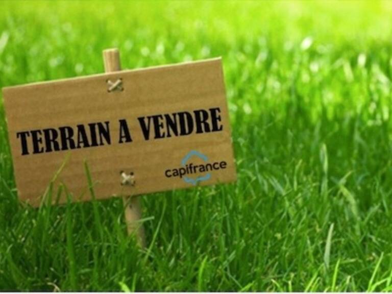 Terrain Plat de 1000m2 à vendre à MANE (31) Vue Pyrénées — photo 1