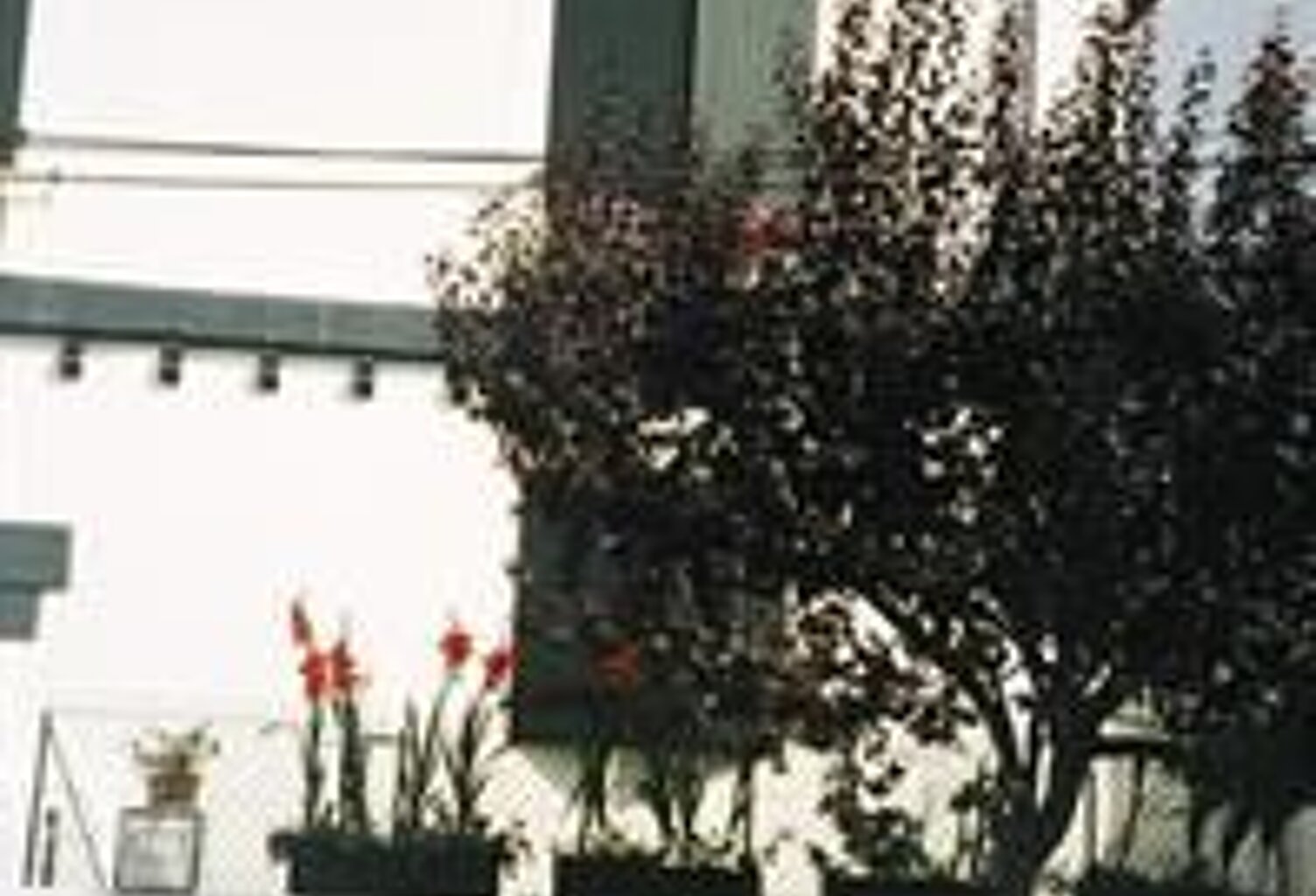 Maison de 38m2 à louer sur Biarritz — photo 1