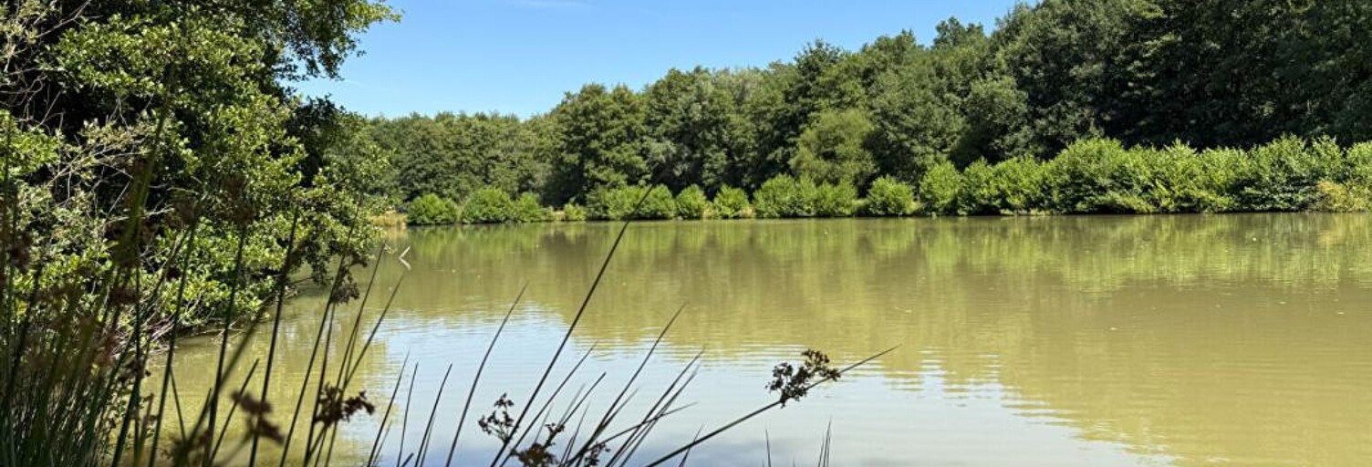 Maison 8 Pièces 220 m² à vendre à Moulins (03000)