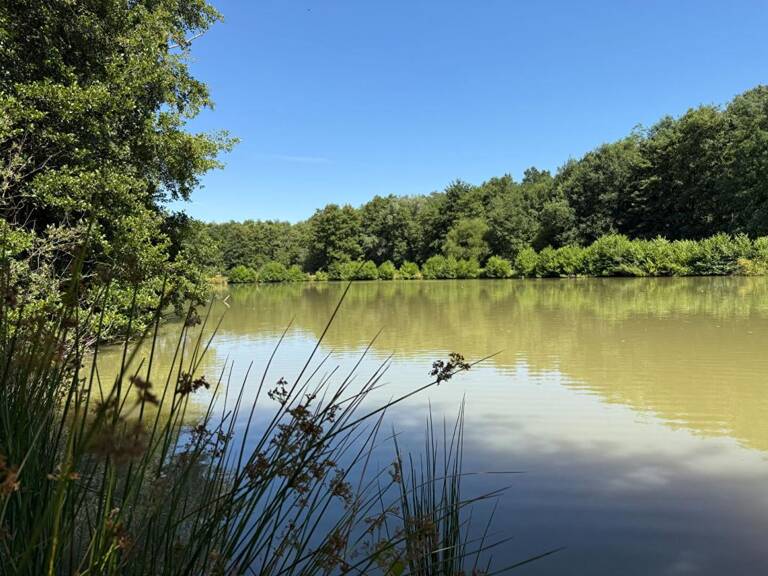 Propriété Maison + Etang + gîte Proche Moulins 03 — photo 1