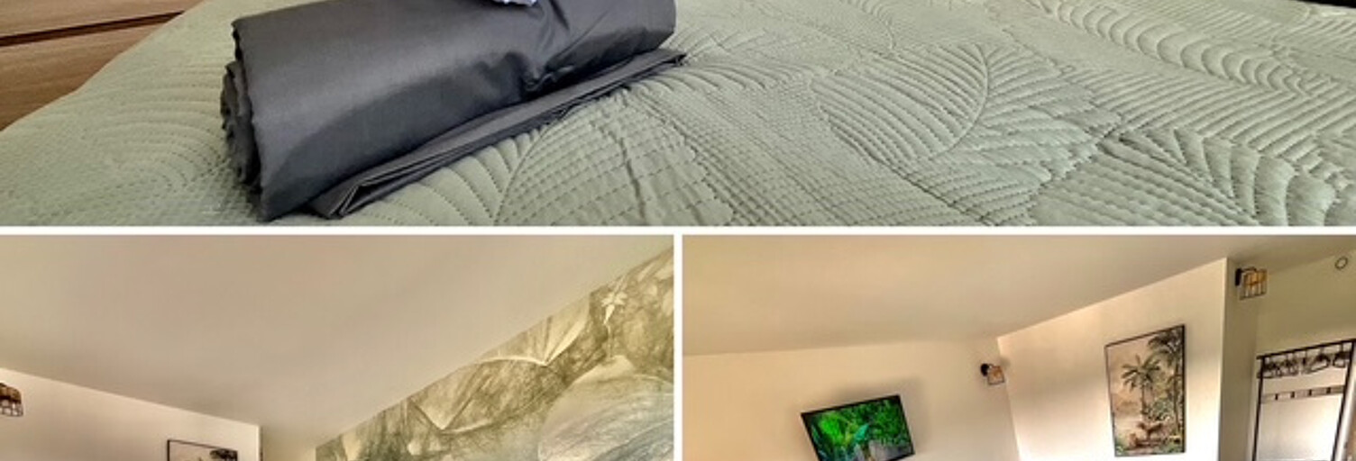 Appartement 1 Pièce 11 m² à louer à Toulouse (31300)