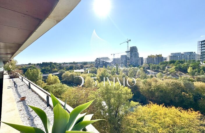 RARE / VUE LEZ ET BASSIN  — photo 4