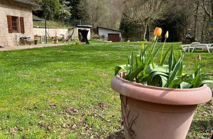 Haute-Vienne, une propriété avec étang au bord de la Vienne — photo 3