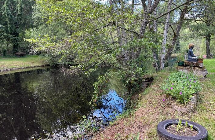 Haute-Vienne, une propriété avec étang au bord de la Vienne — photo 5