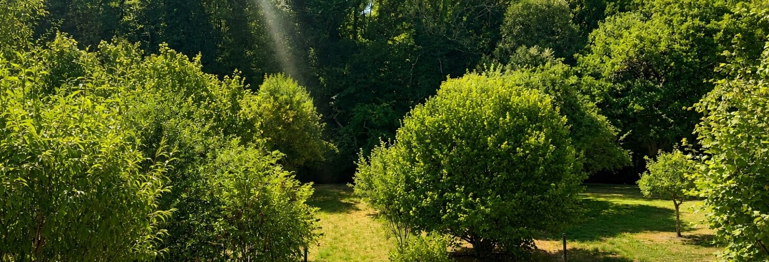 Maison 4 Pièces 140 m² à vendre à Les Islettes (55120)