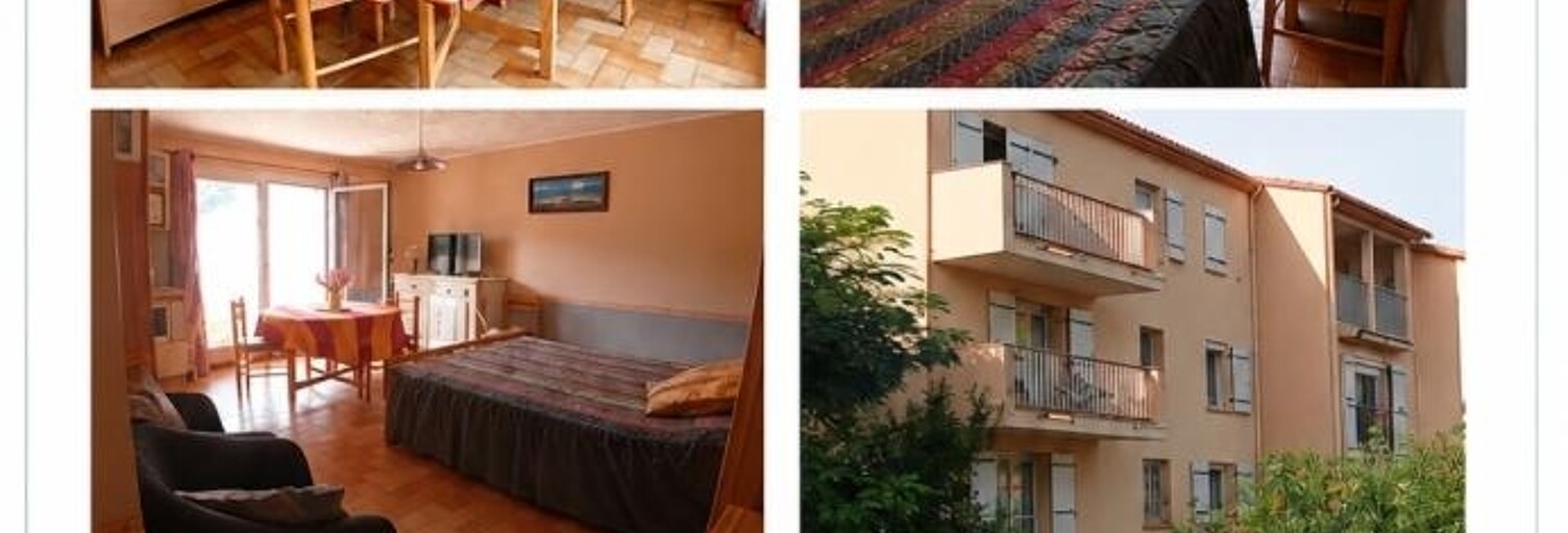 Appartement 1 Pièce 28 m² à vendre à Amélie-les-Bains-Palalda (66110)