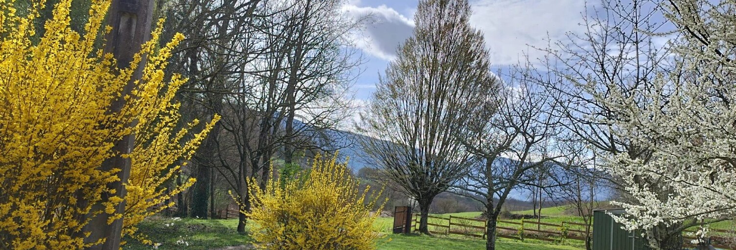 Photo N° 2