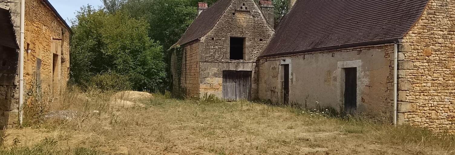 Maison 1 Pièce 100 m² à vendre à Vézac (24220)