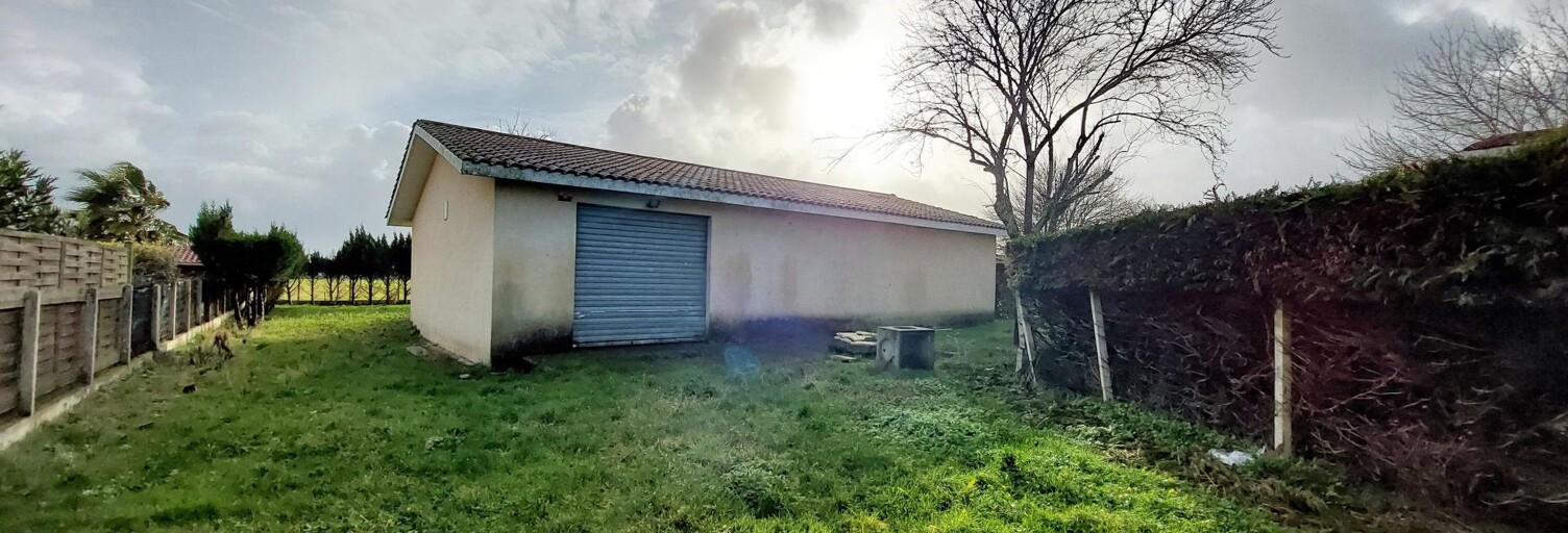 Photo N° 2