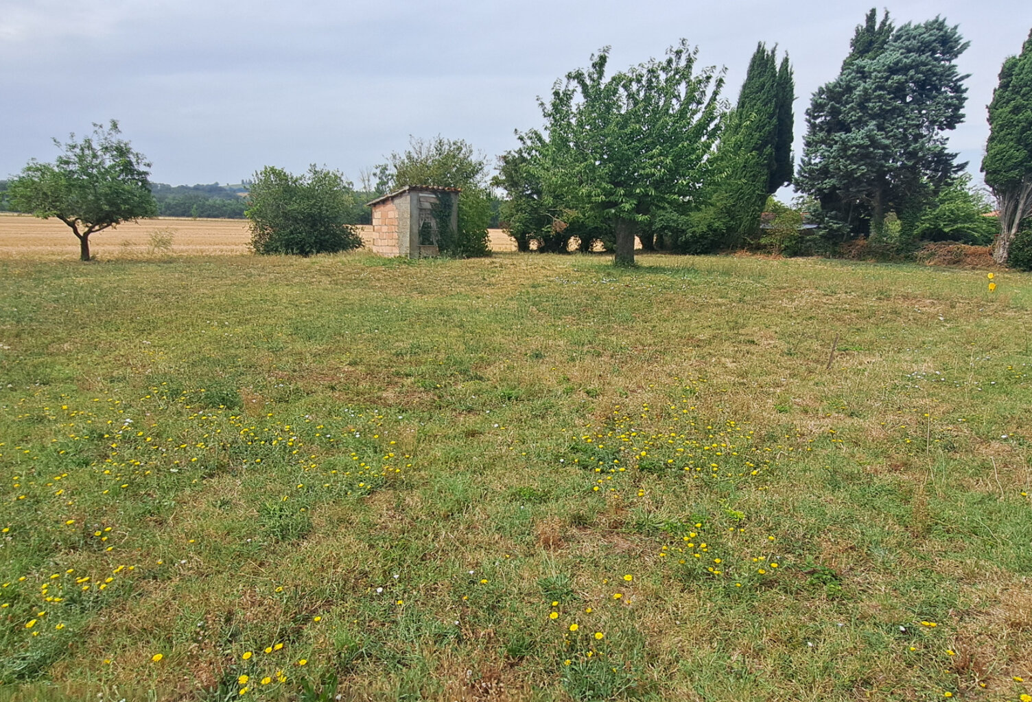 TERRAIN PLAT BAZIEGE CENTRE — photo 1