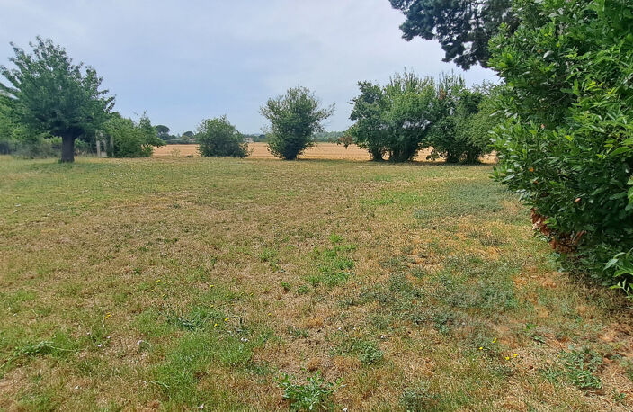 TERRAIN PLAT BAZIEGE CENTRE — photo 3