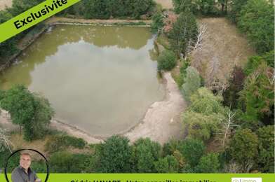 Terrain  31000 €