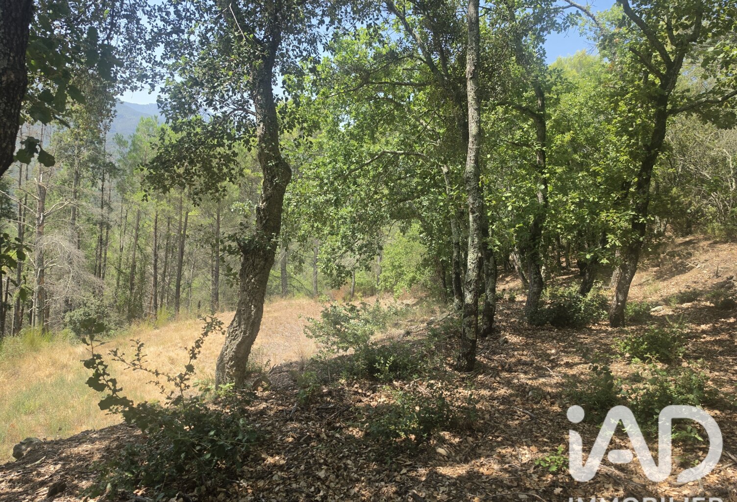 Vente Terrain agricole 17 774 m&sup2; — photo 1