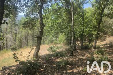 Terrain  36000 €
