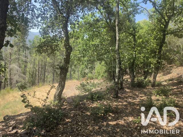 Vente Terrain agricole 17 774 m&sup2; — photo du bien