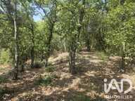 Vente Terrain agricole 17 774 m&sup2; — photo 2