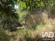 Vente Terrain agricole 17 774 m&sup2; — photo 3