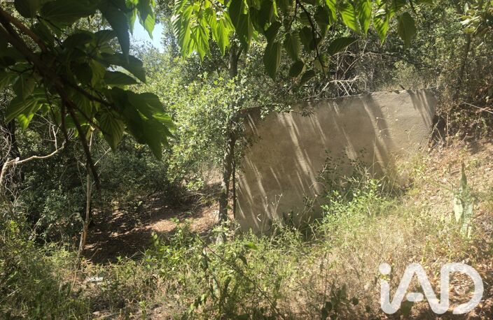 Vente Terrain agricole 17 774 m&sup2; — photo 3