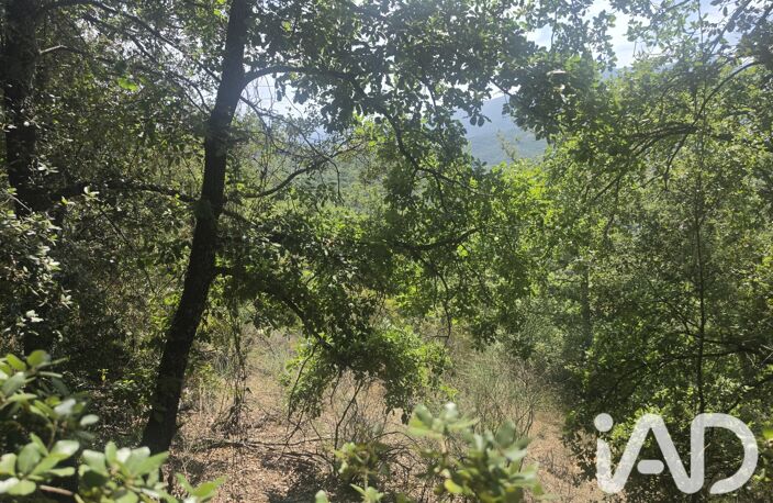 Vente Terrain agricole 17 774 m&sup2; — photo 5