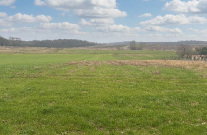 Vente Terrain à bâtir 1 572 m&sup2; — photo 4