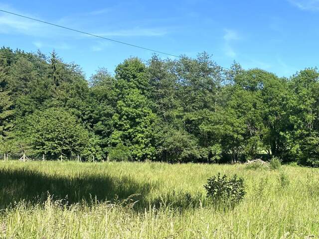 Terrain à bâtir de 1 640 m² à 10 minutes de Montreuil aux lions — photo du bien