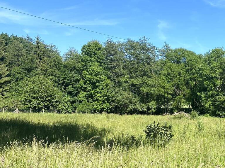 Terrain à bâtir de 1 640 m² à 10 minutes de Montreuil aux lions — photo 1