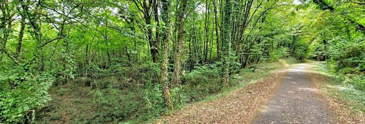 Terrain  81068 m² à vendre à La Sauve (33670)