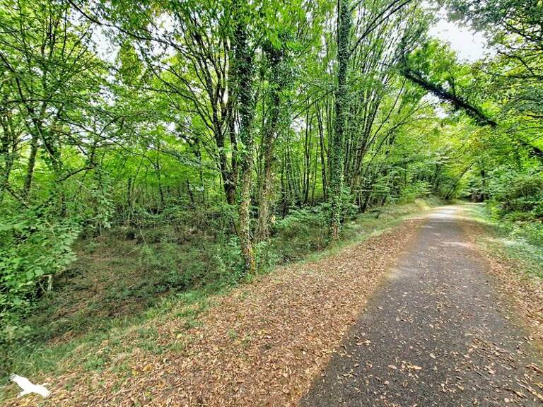 Forêt de 0 pièces principales — photo 1