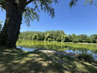 ECO LIEU POUR AGROTOURISME BAR, RESTAURANT sur 6 hectares en — photo 4