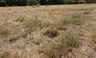 Terrain  1100 m² à vendre à Les Sables-d'Olonne (85340)