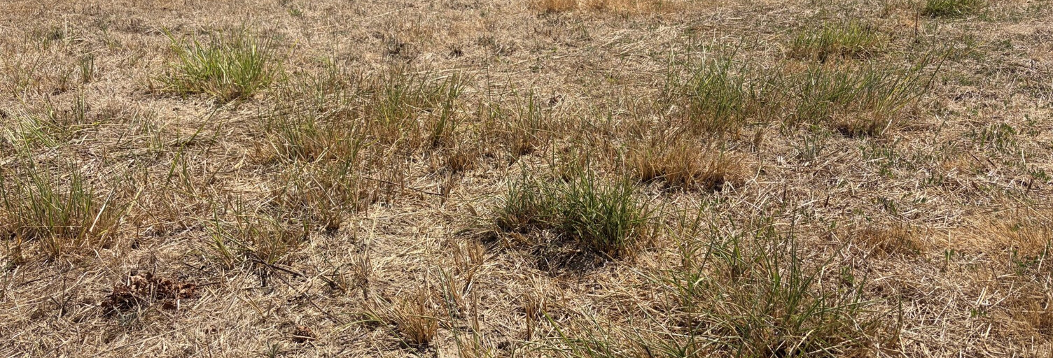 Terrain  1100 m² à vendre à Les Sables-d'Olonne (85340)