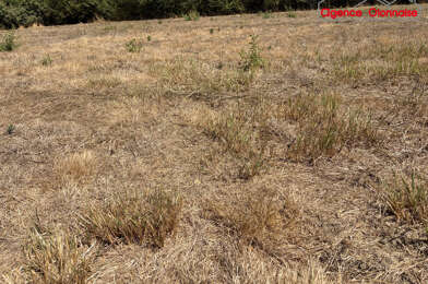 Terrain  231000 €