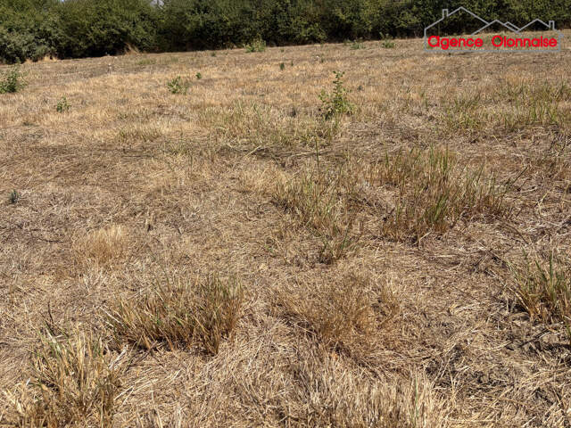 TERRAIN A BATIR — photo du bien