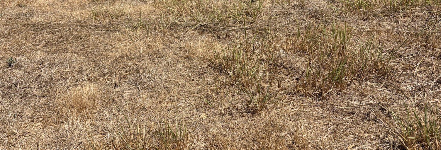 Terrain  1284 m² à vendre à Les Sables-d'Olonne (85340)
